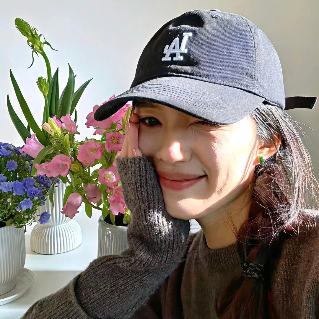 候鸟之爱
